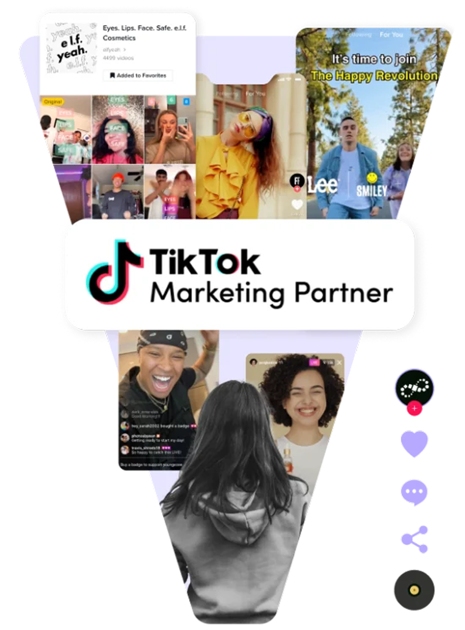 TikTok Marketing Partner Interface